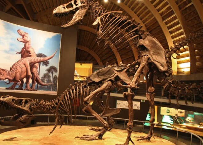 Bokep Viral Indo Bagaimana Dinosaurus Berhubungan ngentot? | National Geographic