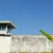 Bokep Viral Indo MUI Haramkan Penggunaan Alat Bantu ngentot sebar Penduduk Binaa Lapas